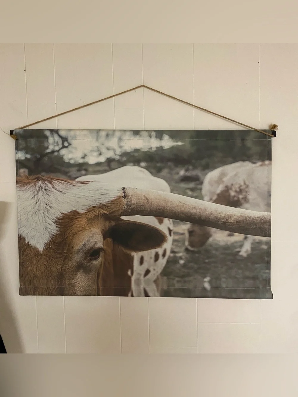Hobby Lobby Longhorn Canvas Wall Hanging - Brown & White